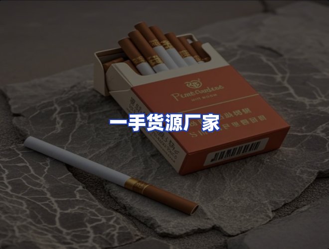 专业团队